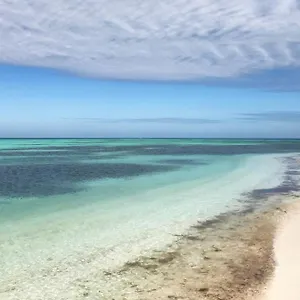 https://pescado-penthouse-on-duval.hotels-in-key-west.com
